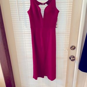 NWT Sexy Cut Out Burgundy Dress